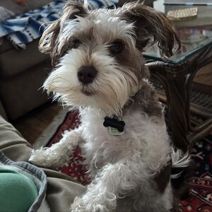 Meet your Posher, Tracey